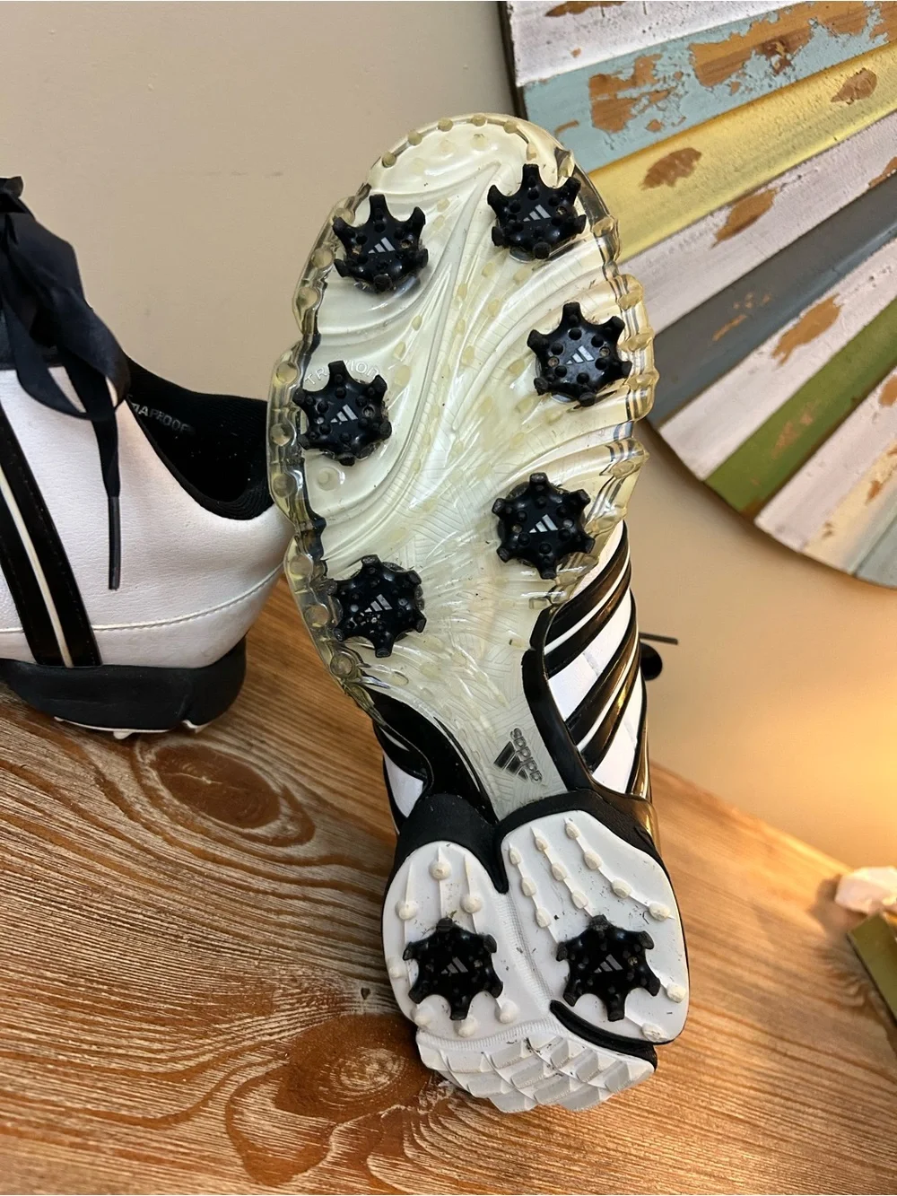 adidas ladies golf